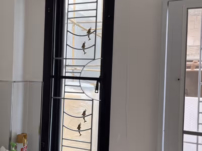 ภาพแกลลอรี่ 14